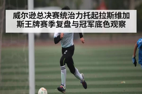 威尔逊总决赛统治力托起拉斯维加斯王牌赛季复盘与冠军底色观察
